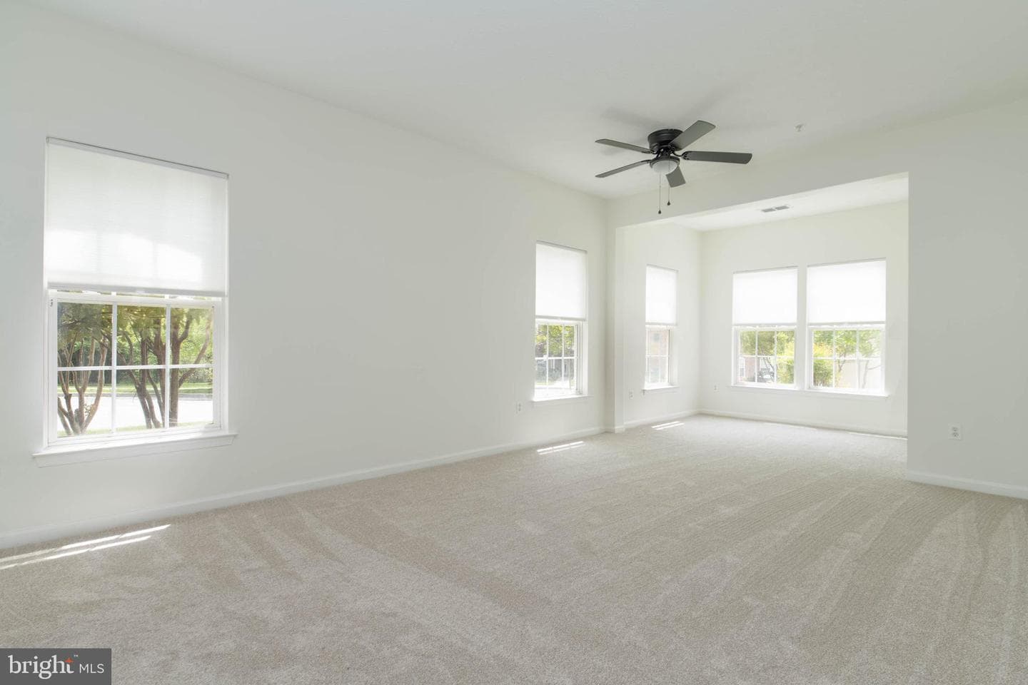 9501 Kingscroft Terrace #9501d photo 21