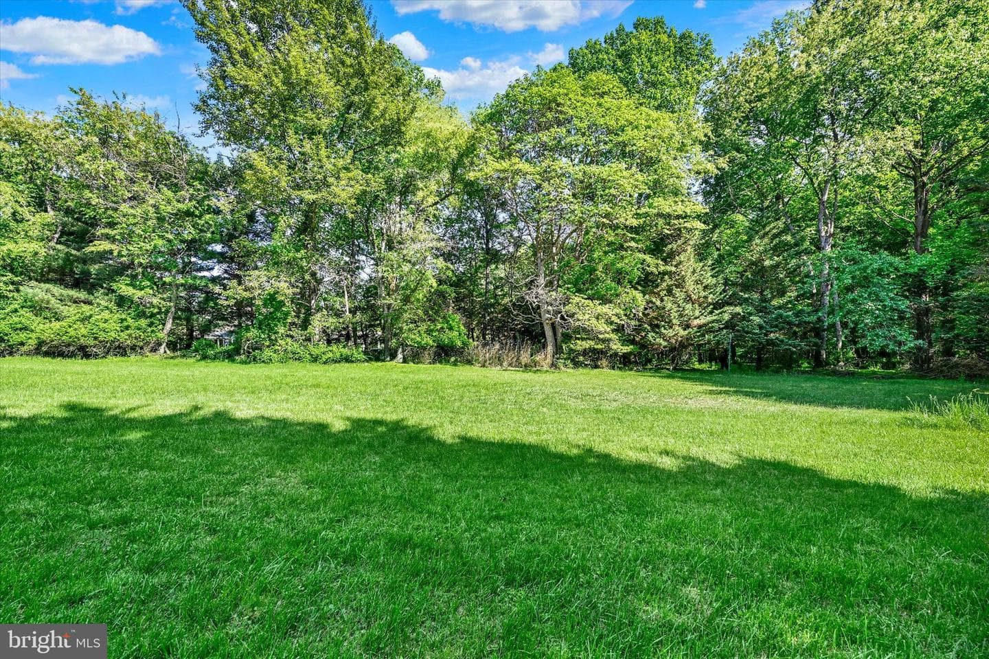 7 Quail Wood Court photo 35