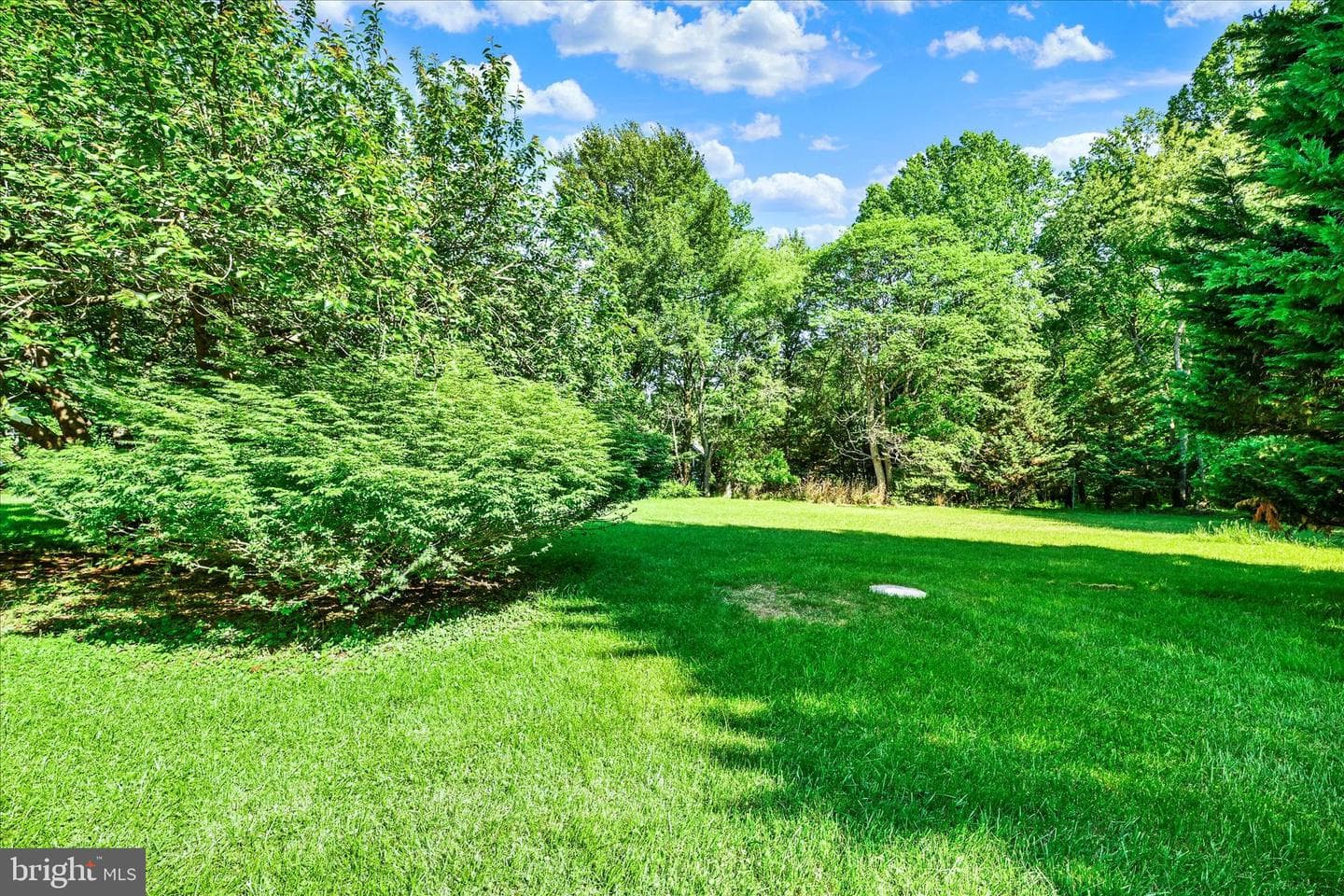 7 Quail Wood Court photo 37