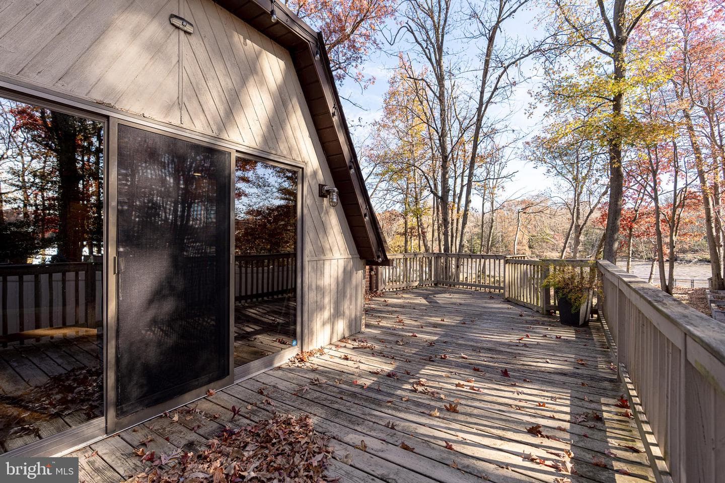 811 Cedar Avenue photo 24
