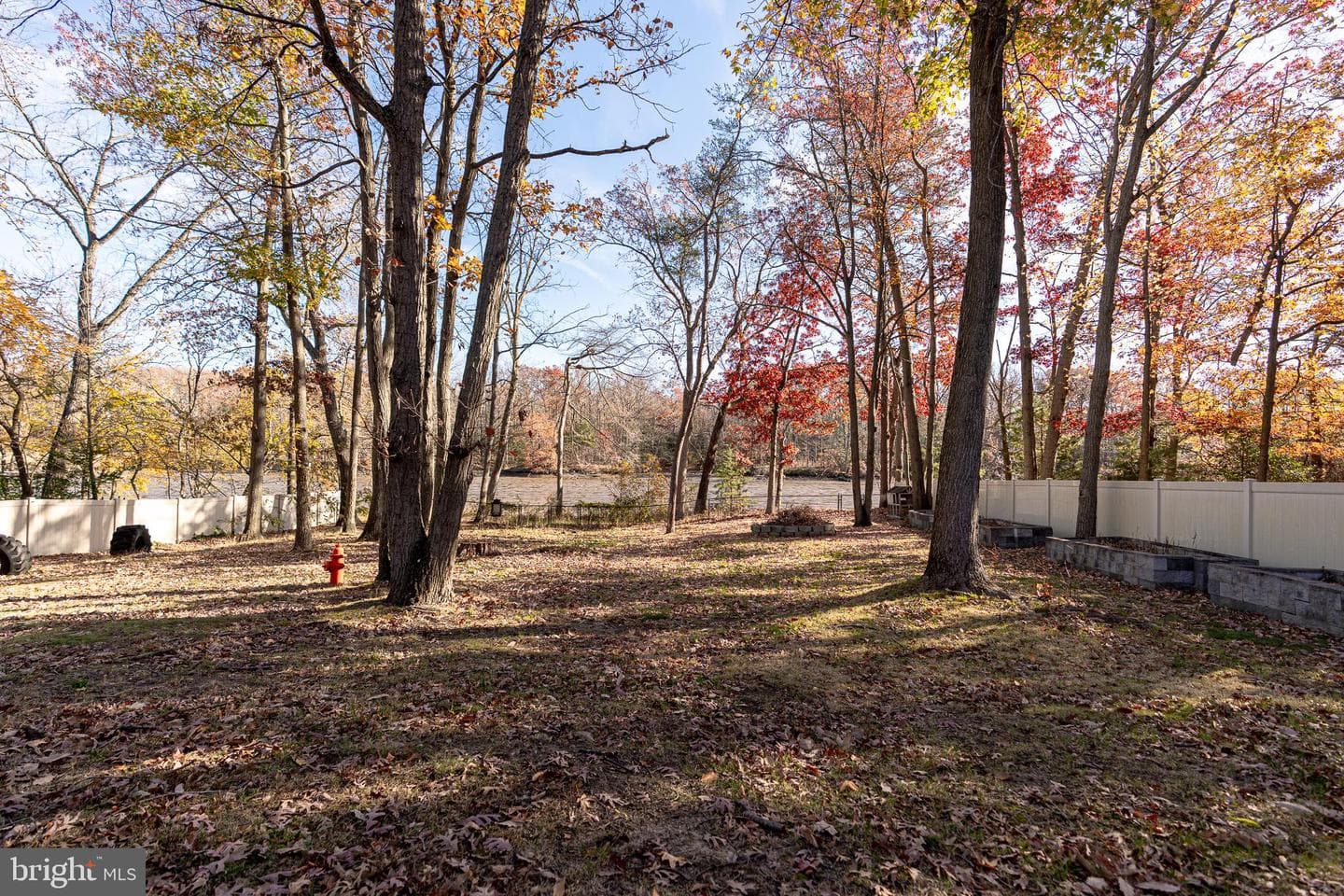 811 Cedar Avenue photo 26