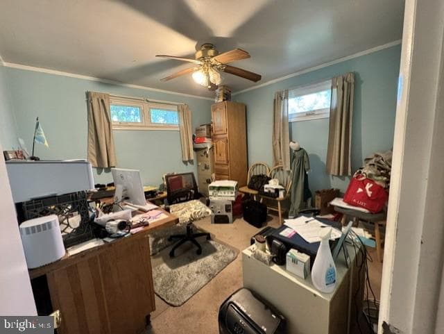 5404 Bush Street photo 13