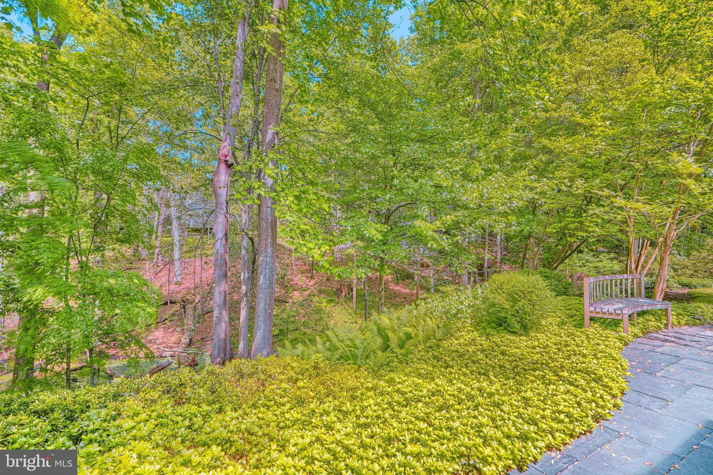 2504 Stone Mill Road photo 106