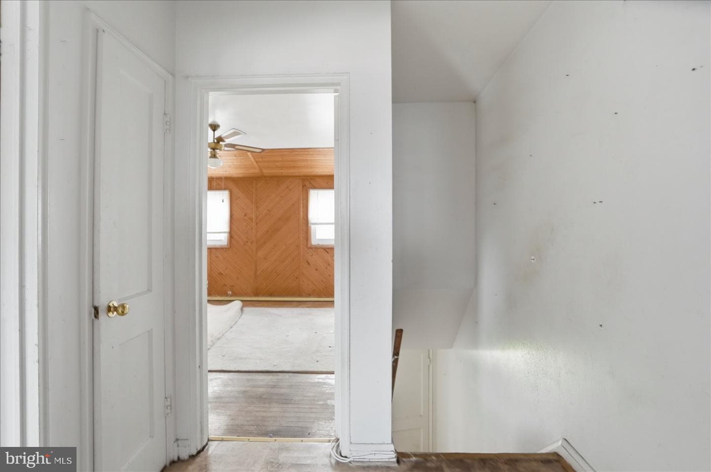 1903 Ormand Road photo 16