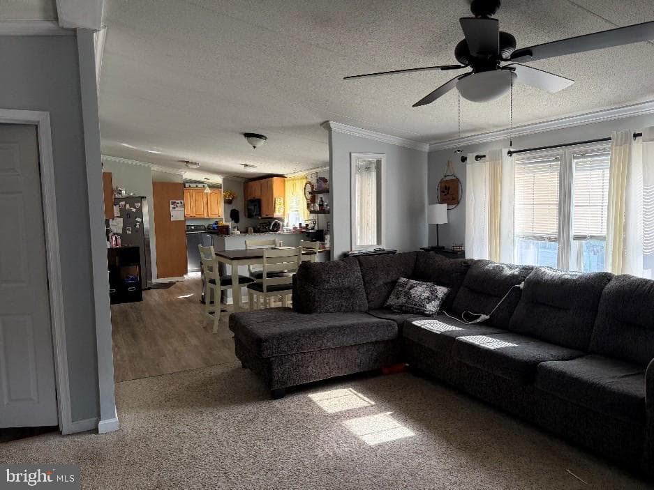 14 Thomas Lane photo 8