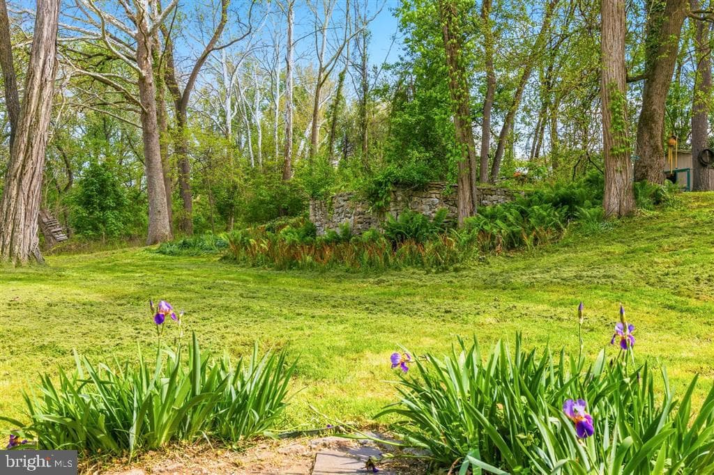 521 Brightfield Road photo 19