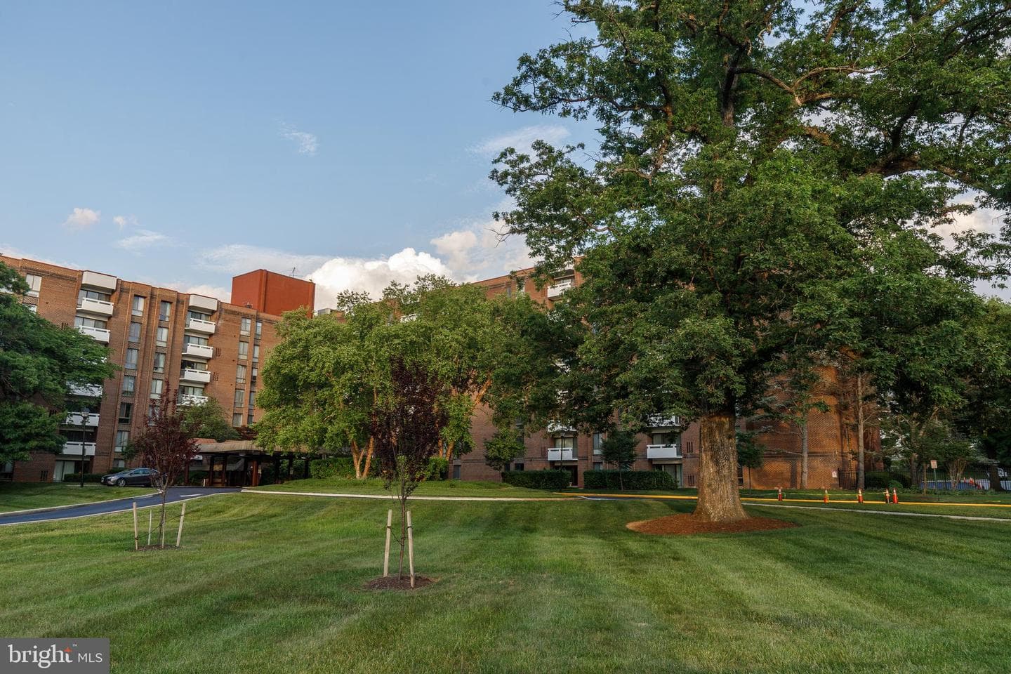 7 Slade Avenue #607 photo 5