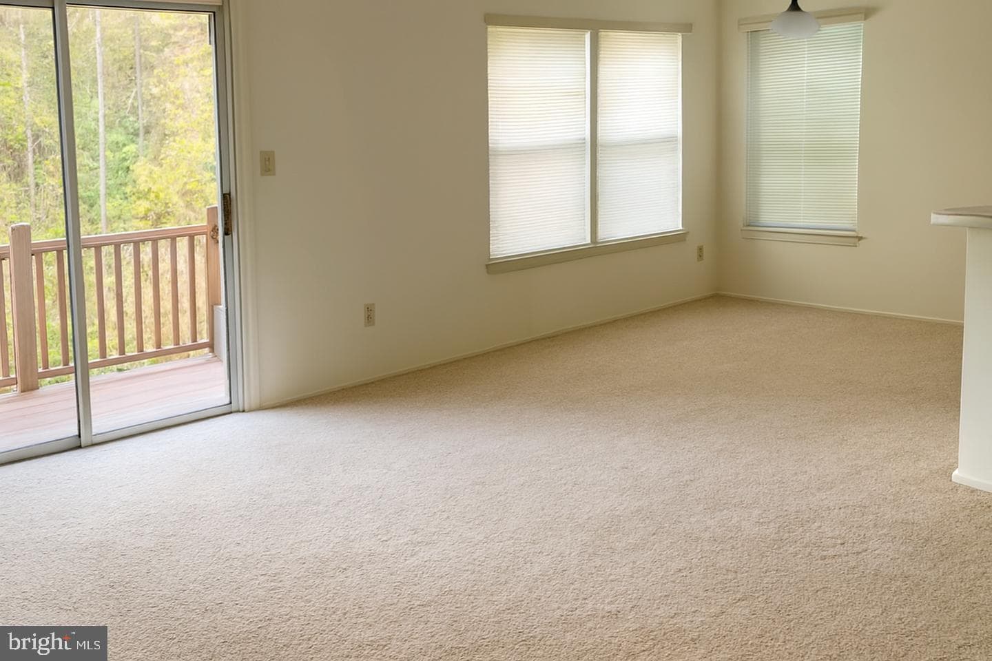 102 Jumpers Circle #219 photo 8