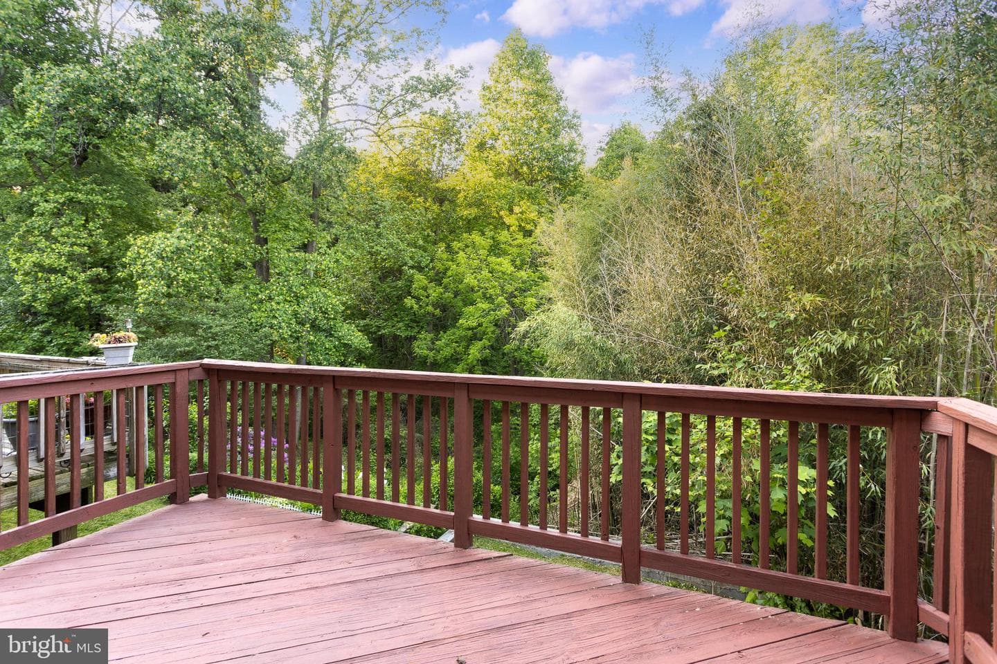 3640 Double Rock Lane photo 27
