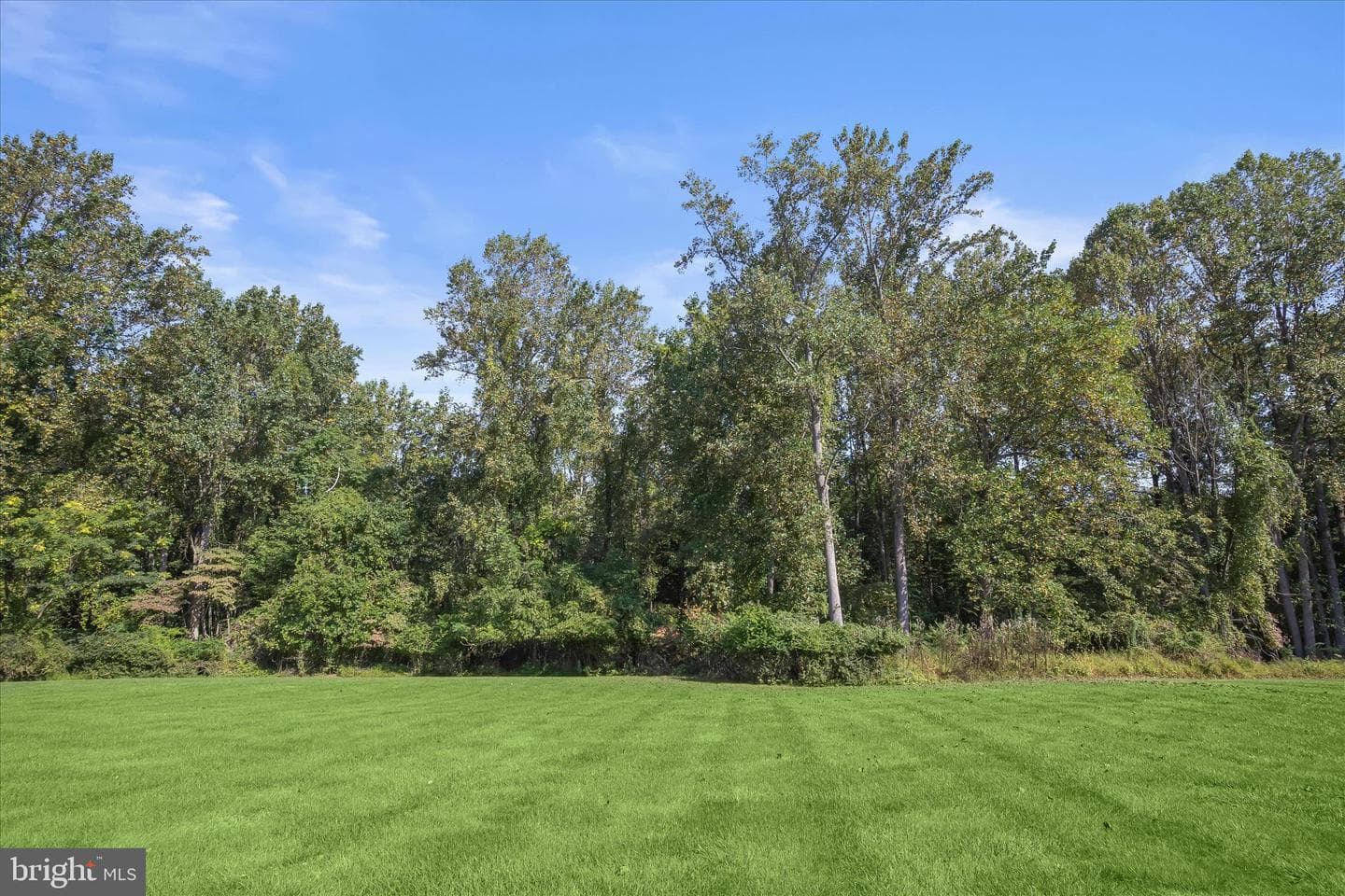 114 Sagewood Court photo 69