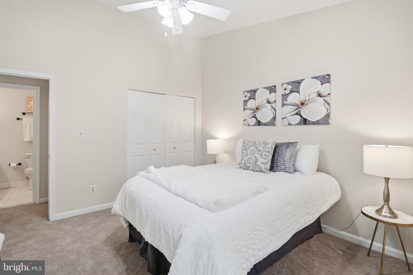 17 Boyne Court photo 28