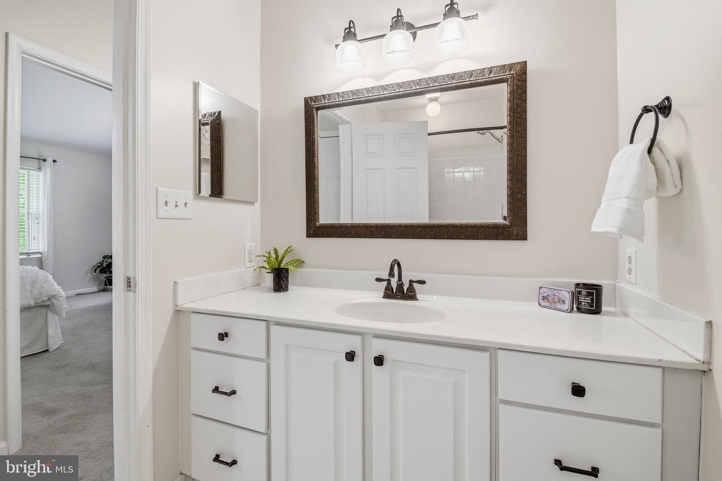 17 Boyne Court photo 30