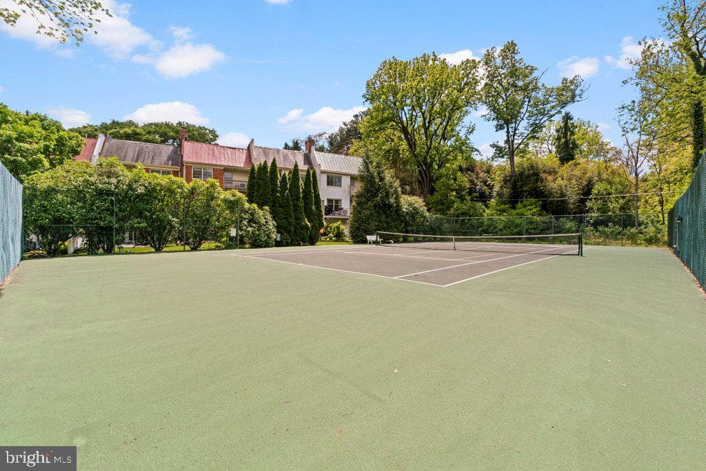 4 Hume Court #25 photo 55