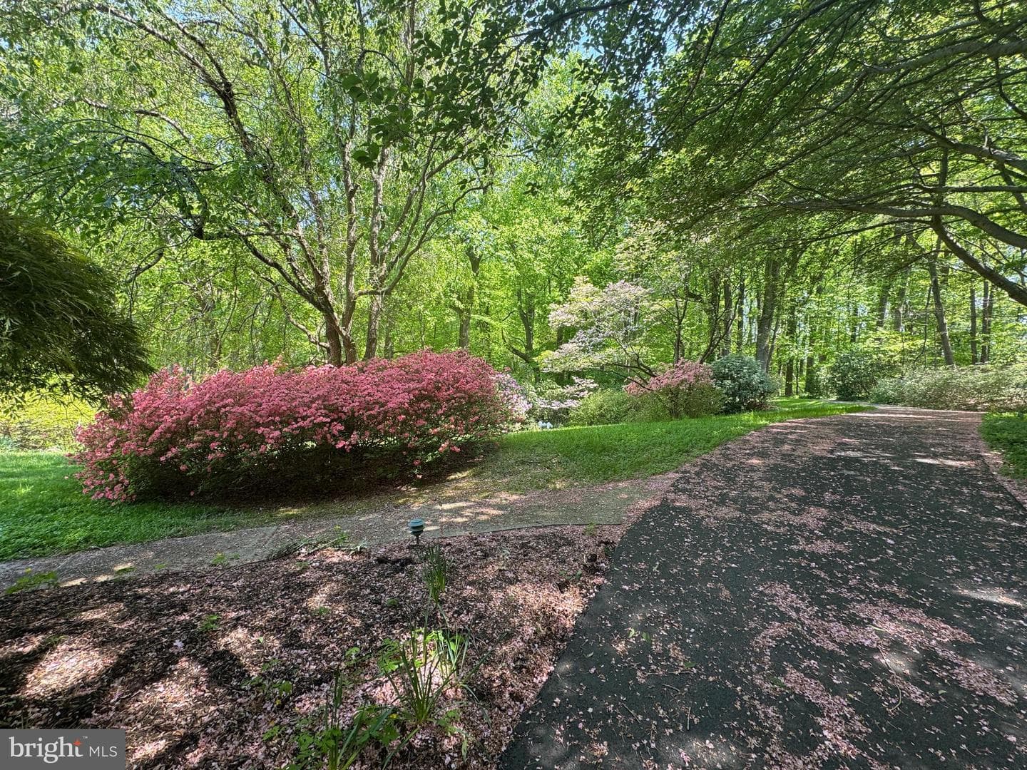 6008 Fork Woods Road photo 10