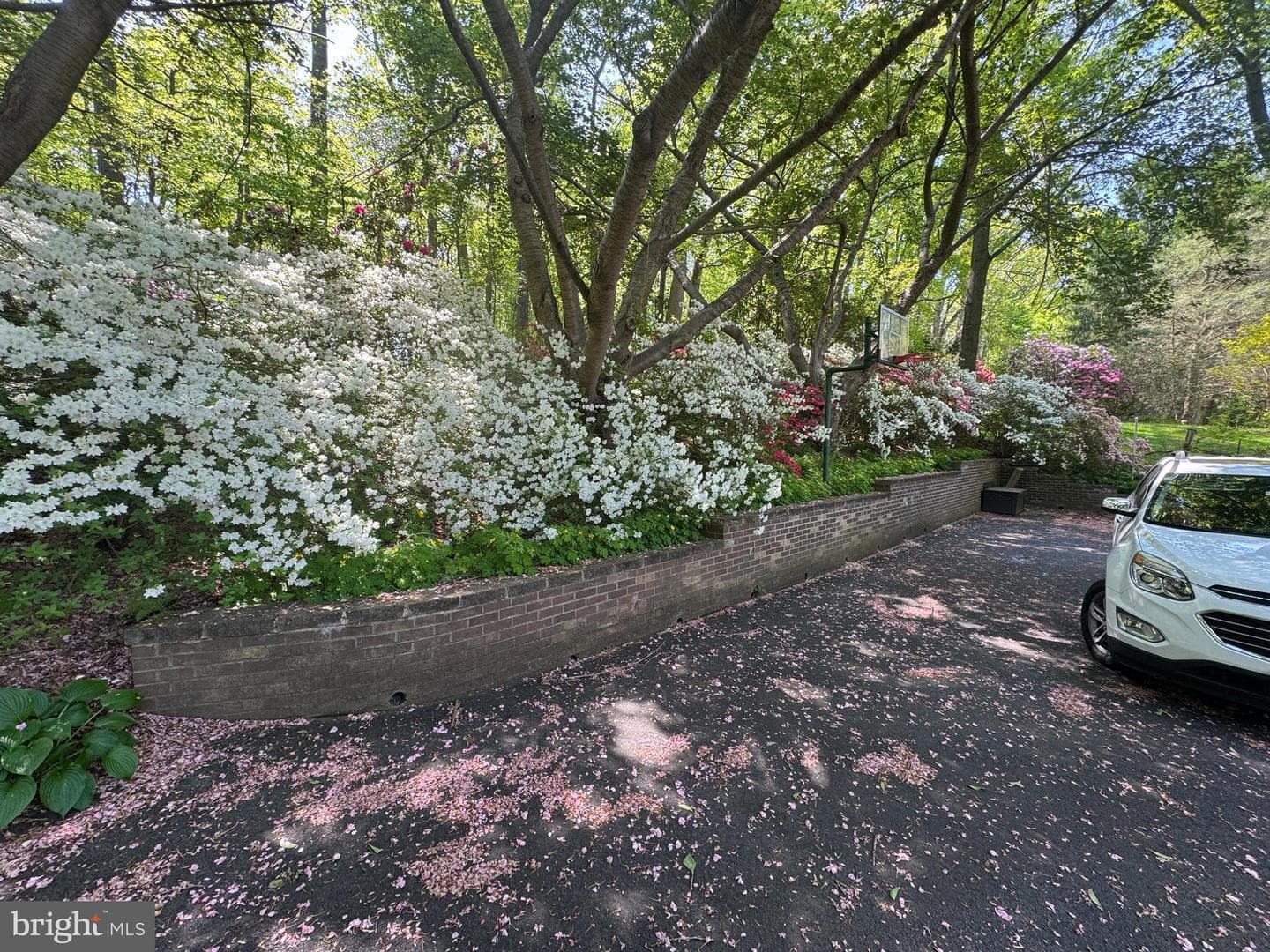 6008 Fork Woods Road photo 12