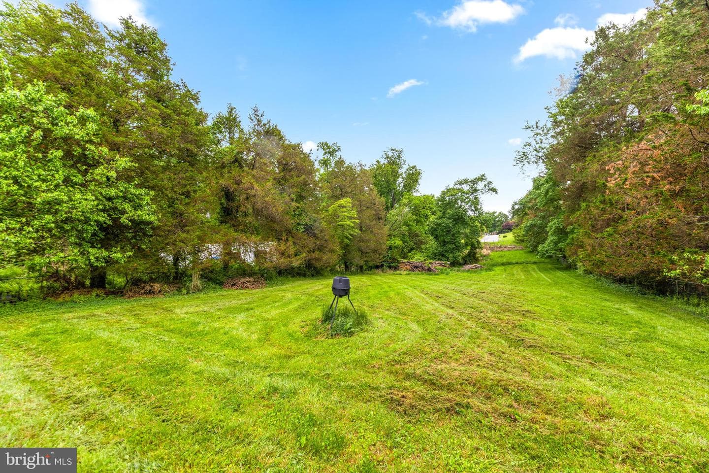 11809 Cedar Lane photo 104