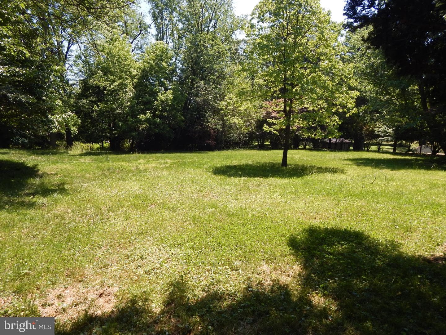 5 Sunnydale Way photo 56