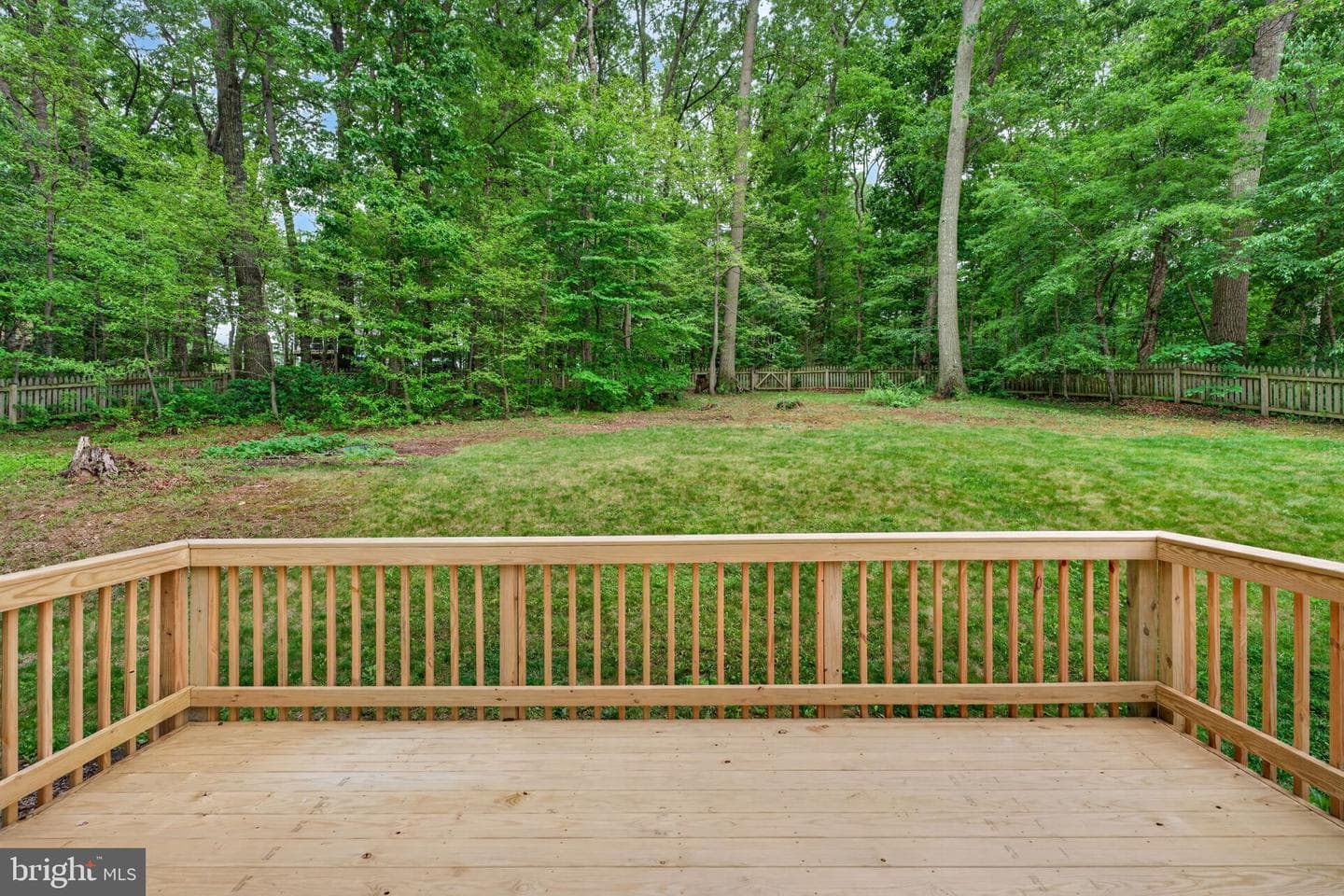 1001 Wiseburg Road photo 18