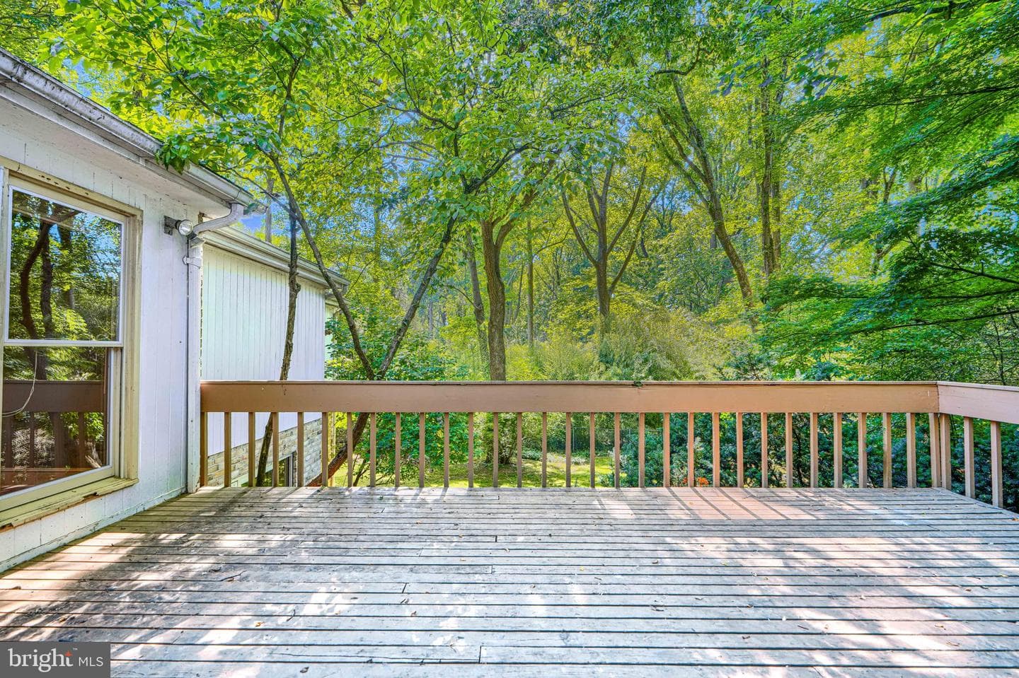 2 Kenmont Court photo 41