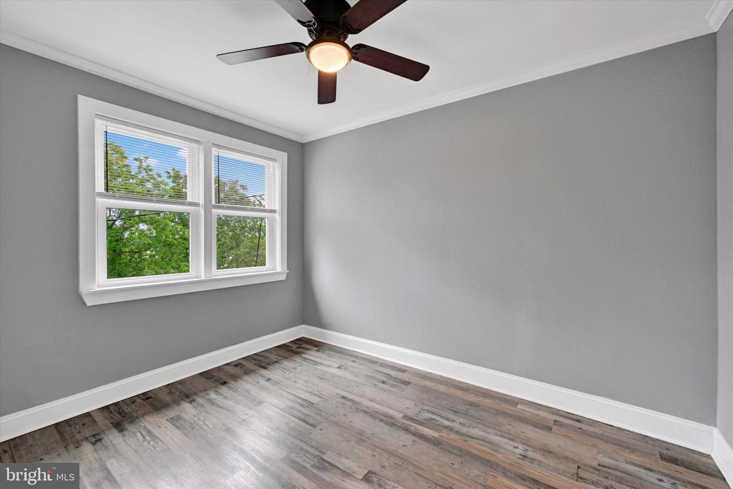 548 Chalcot photo 13