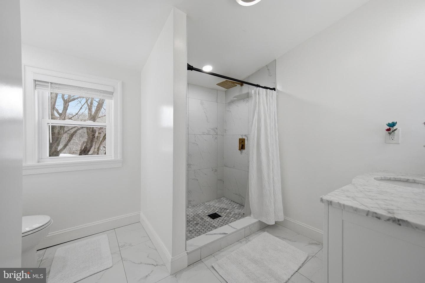3524 Blenheim Road photo 37