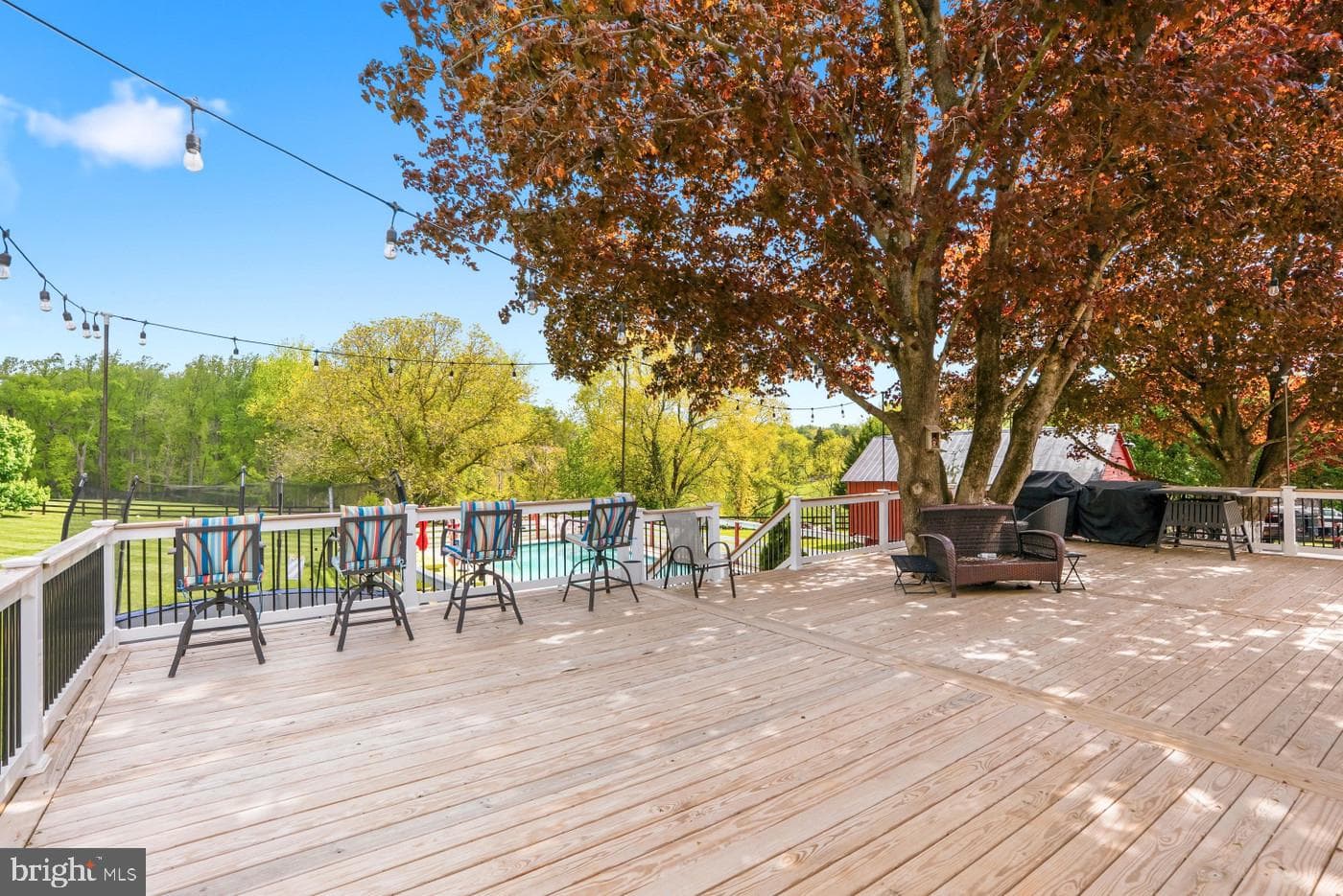 3524 Blenheim Road photo 49