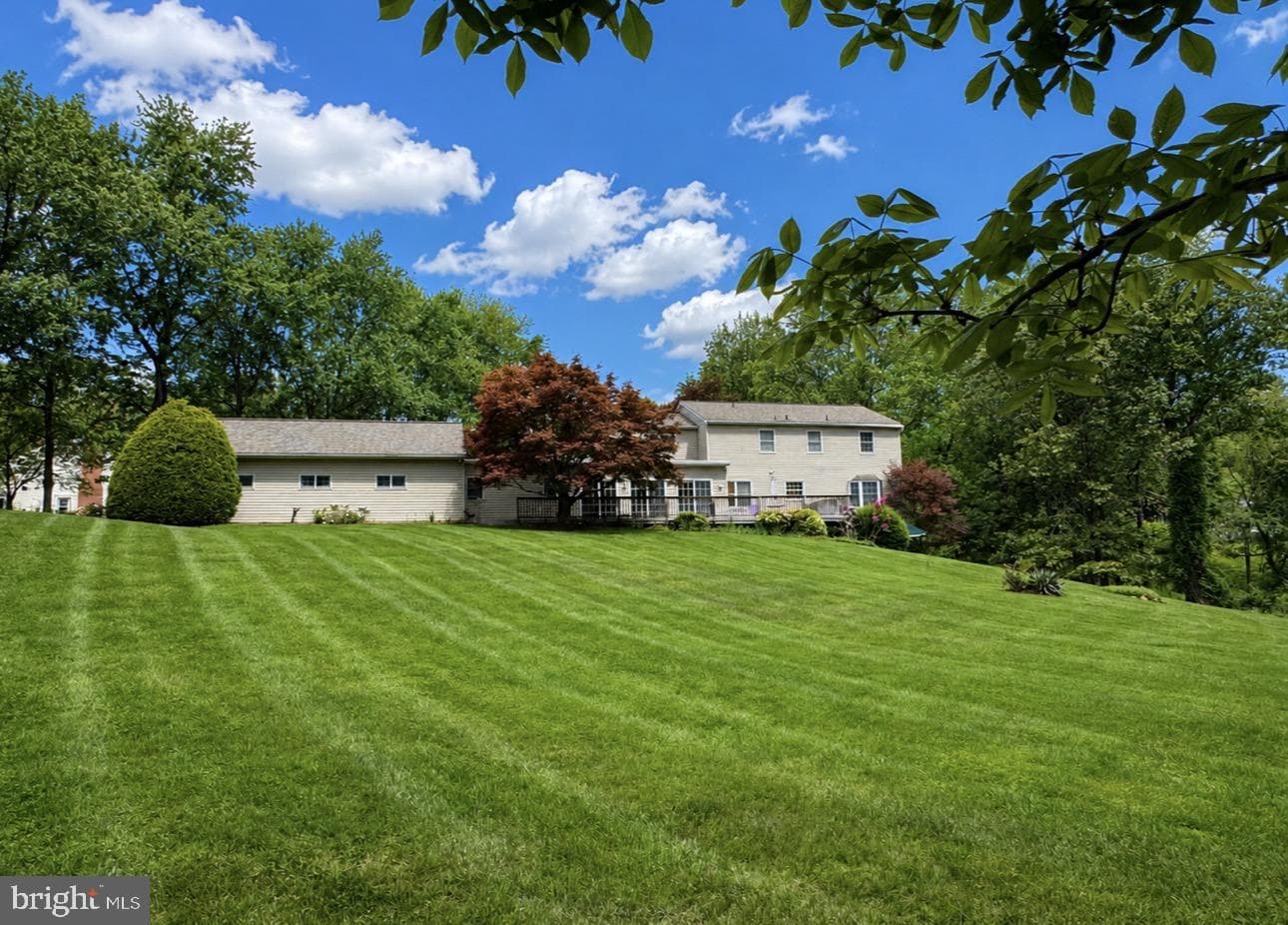 5a Dellwood Court photo 4