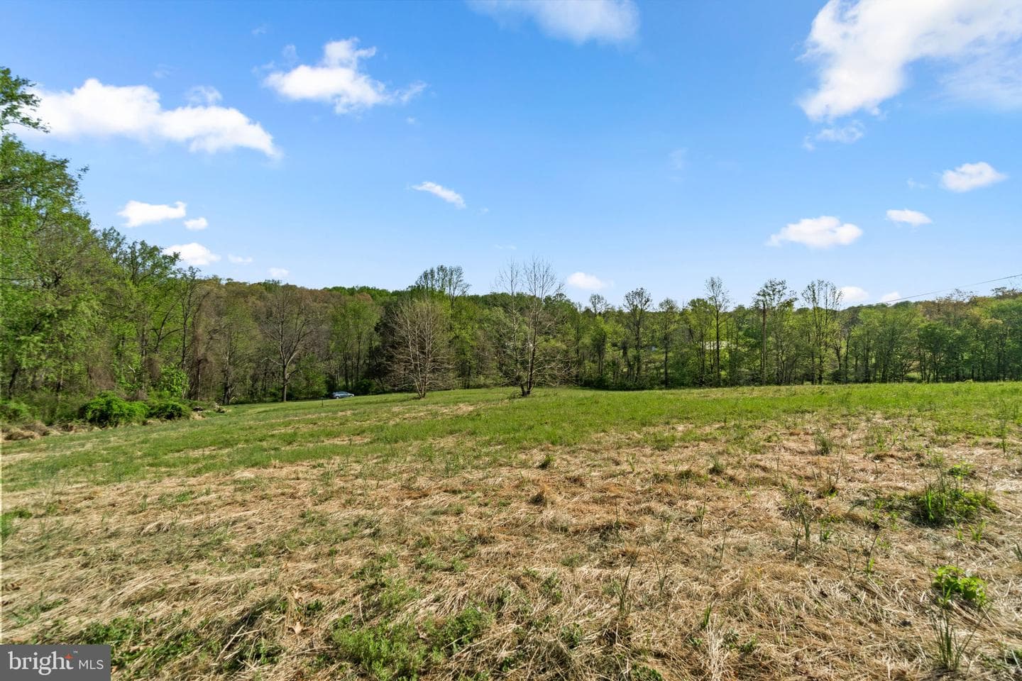 127 Nob Hill Park Drive #benton Ii photo 76