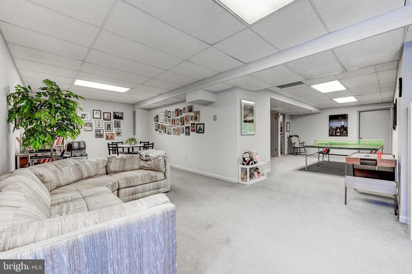 2 Spruce Court photo 32