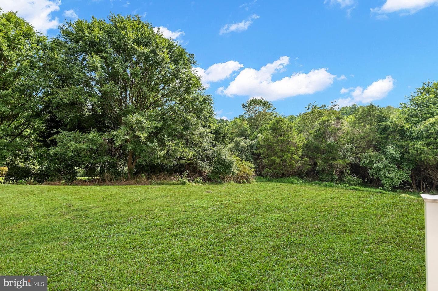 14513 Ventry Farm Court photo 11