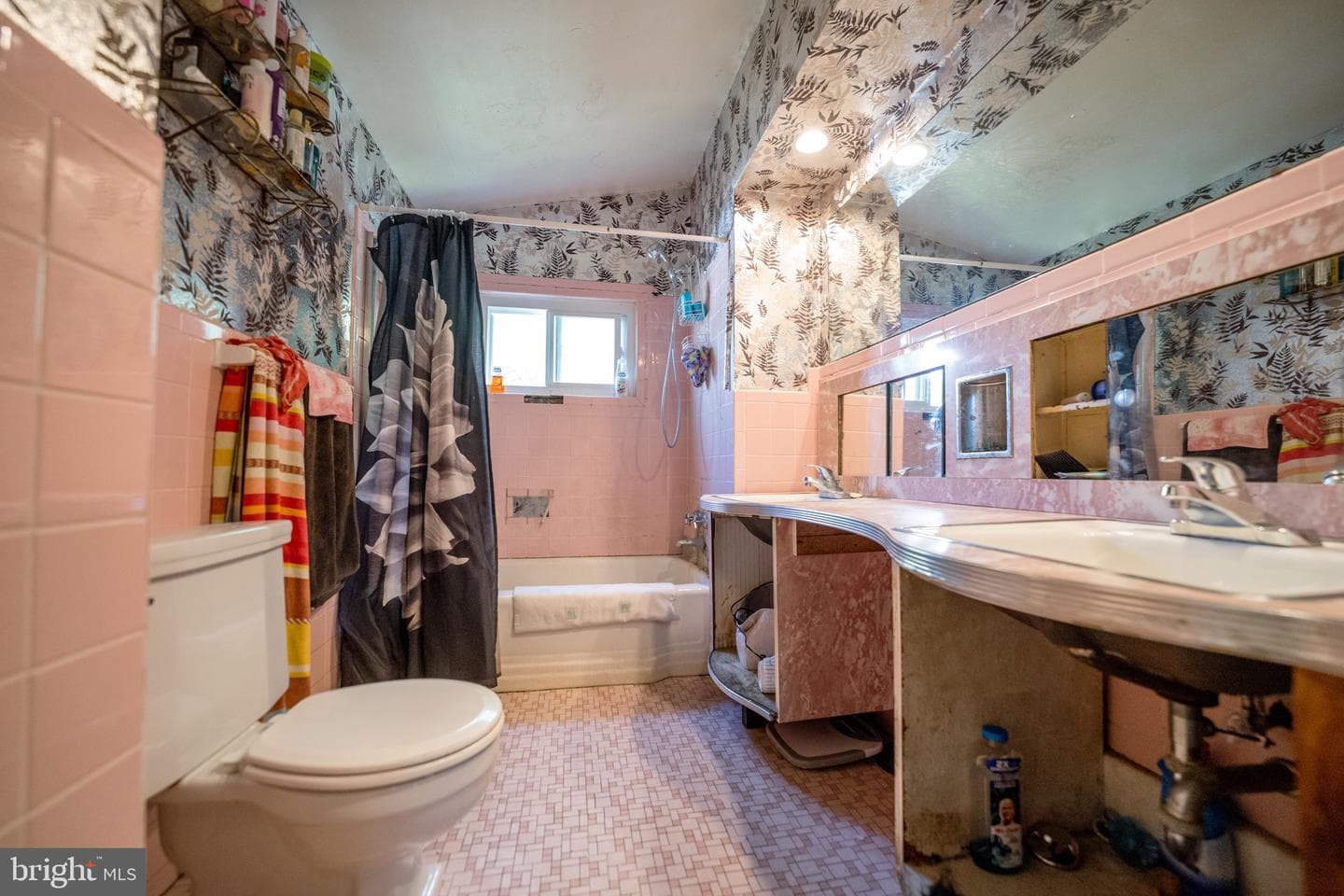 4125 Ronis photo 12
