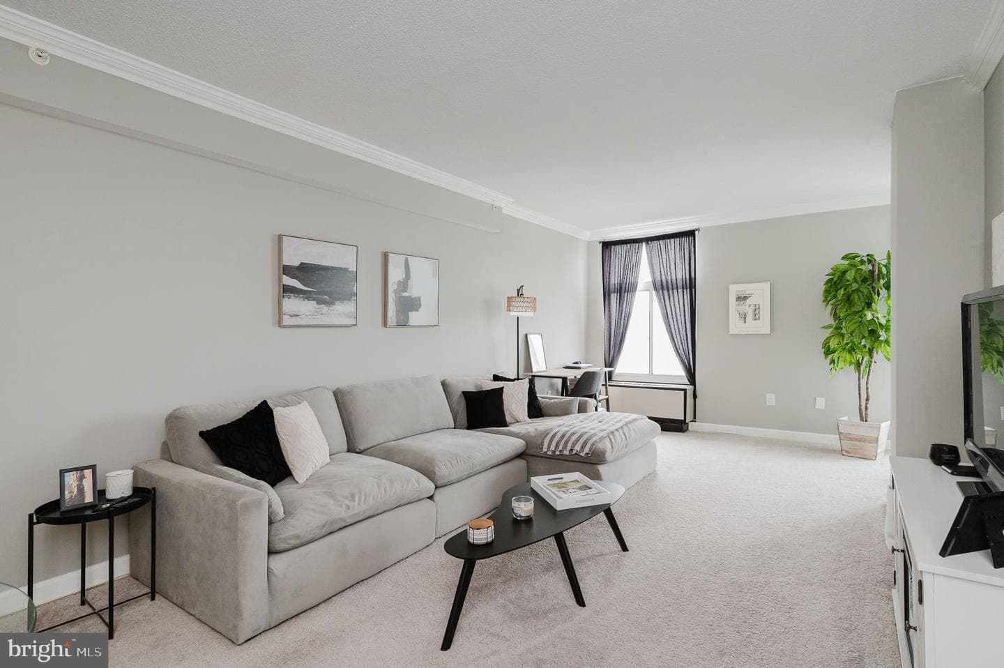 28 Allegheny Avenue #1512 photo 24