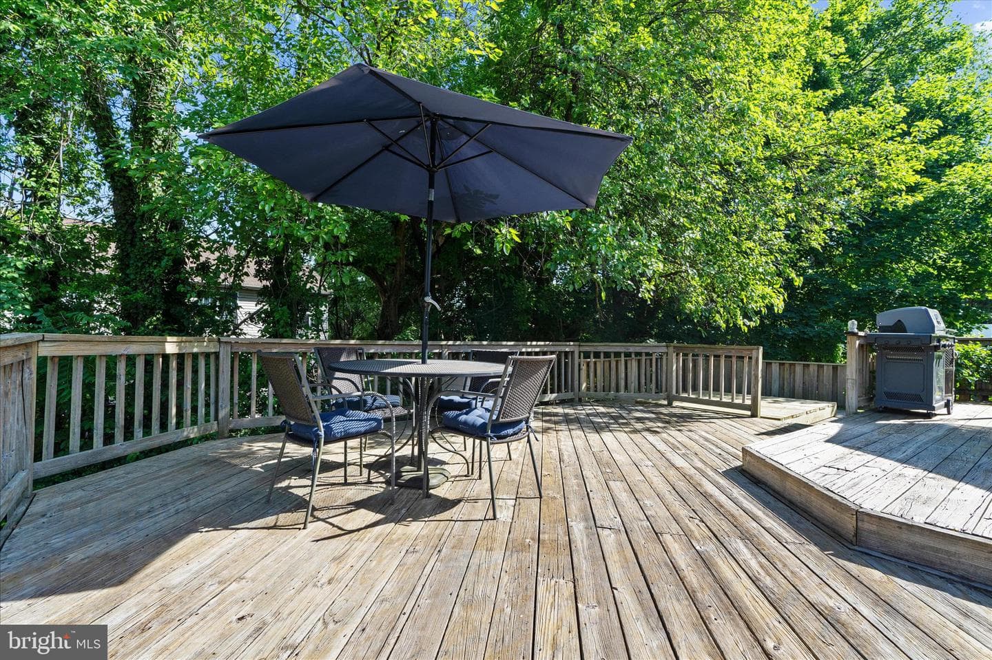 13 Blake Court photo 41