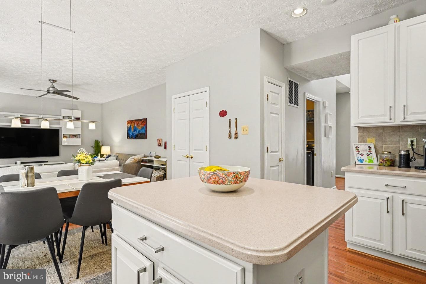8709 Melissa Lilian Court photo 10