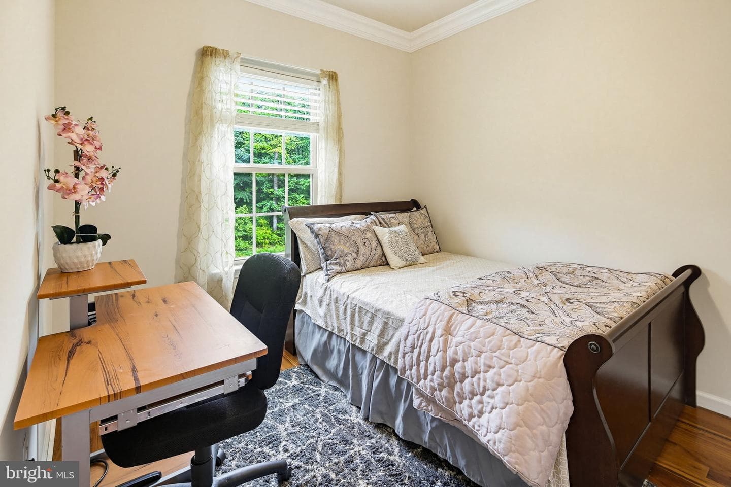 10101 Campbell Boulevard photo 28