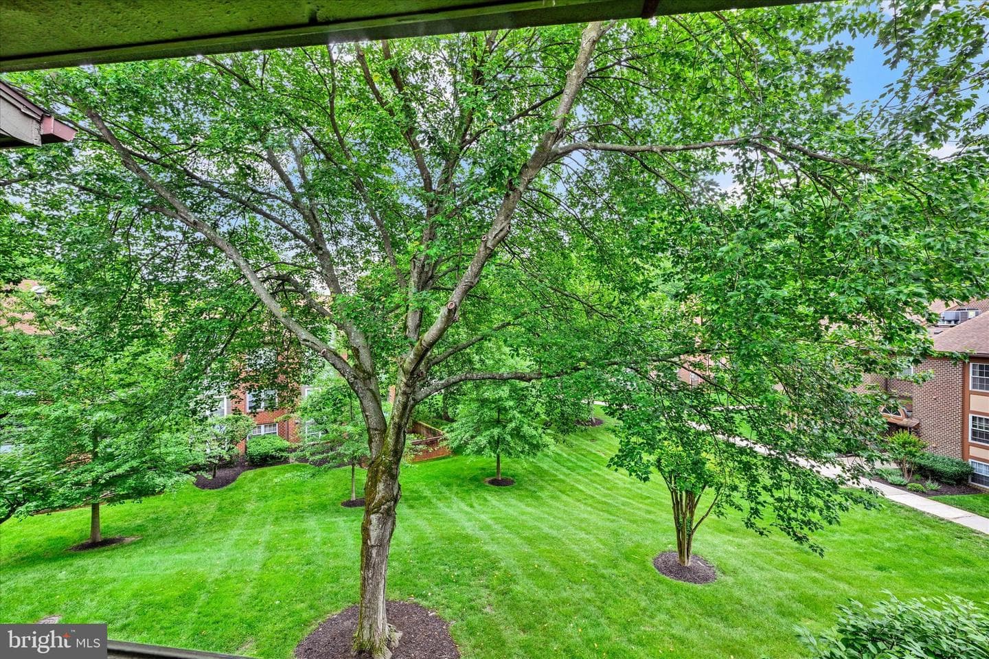 3 Pipe Hill Court #3c photo 7