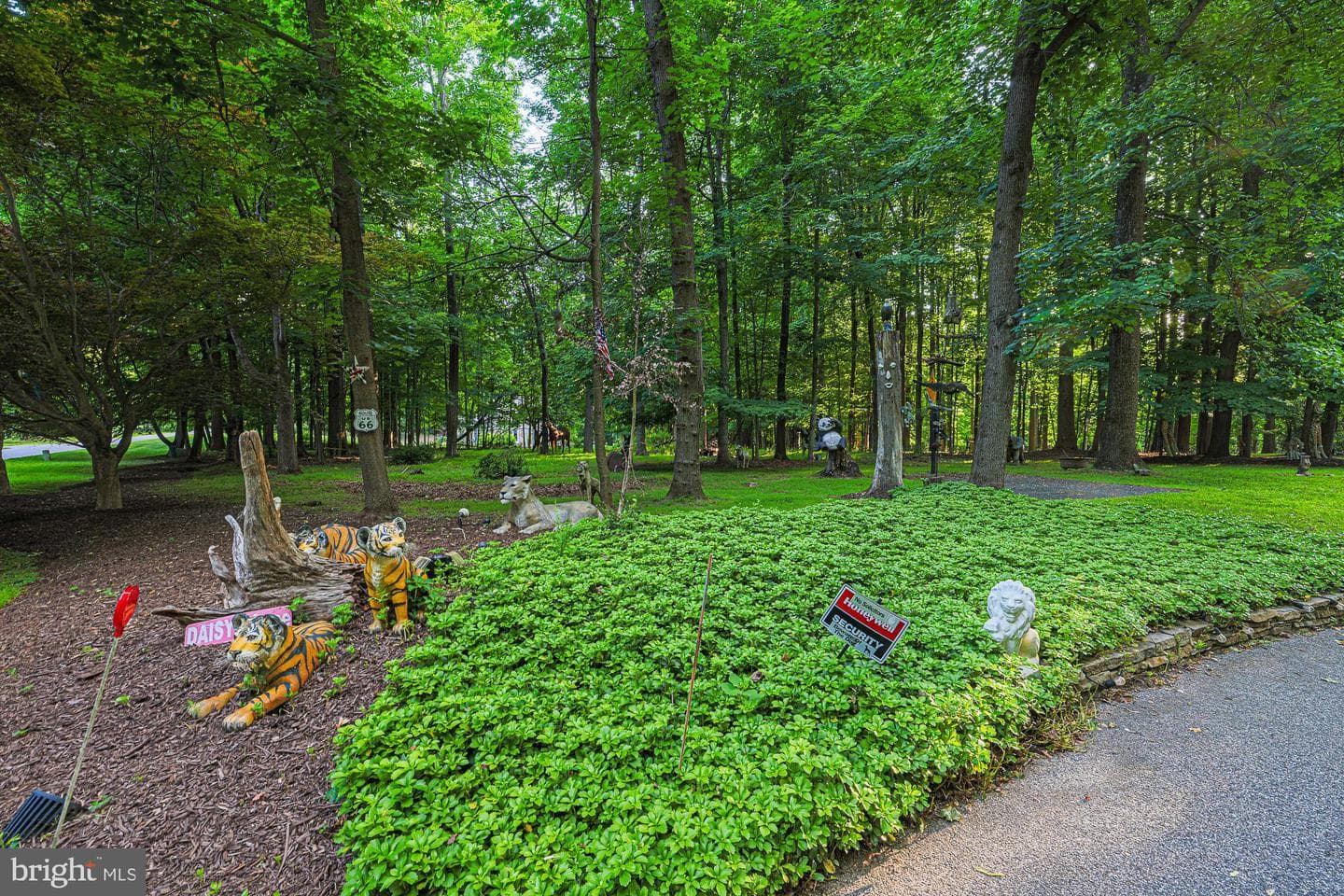 17 Montvieu Court photo 55