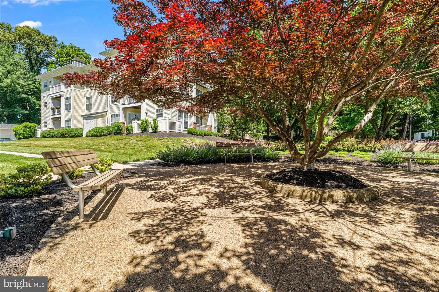 7032 Toby Drive #7032 photo 35