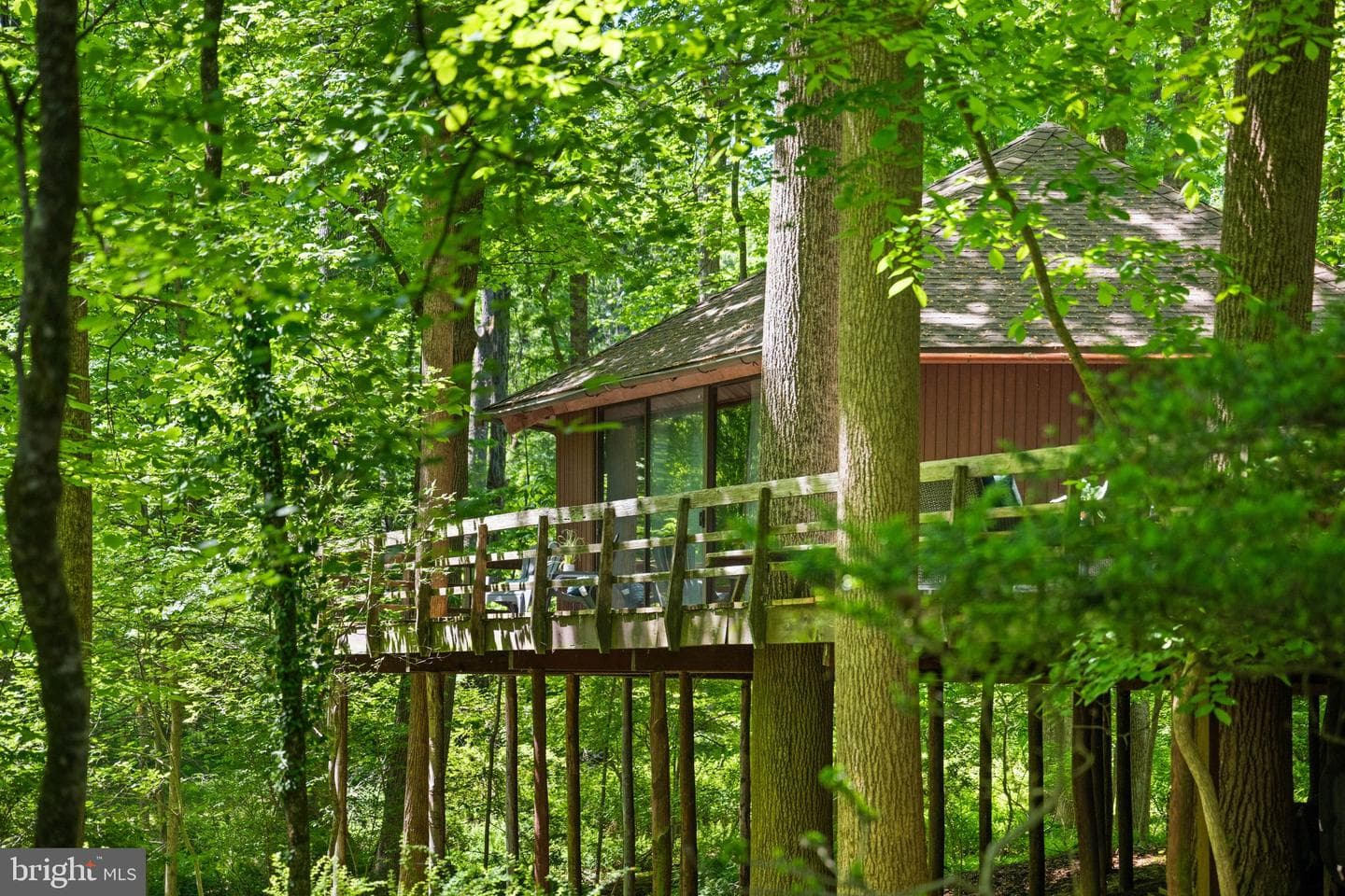 2707 Caves Road photo 66