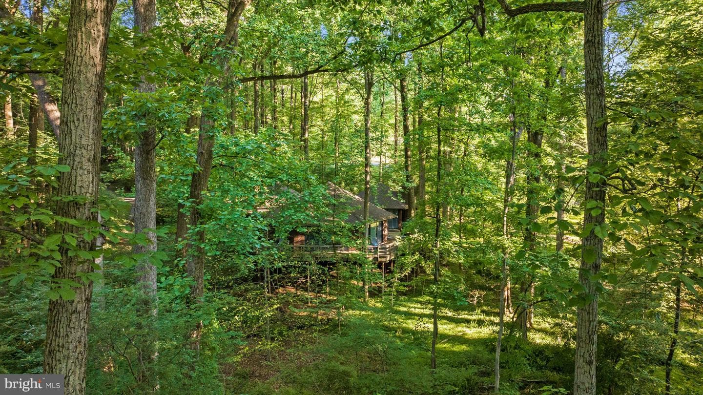 2707 Caves Road photo 75