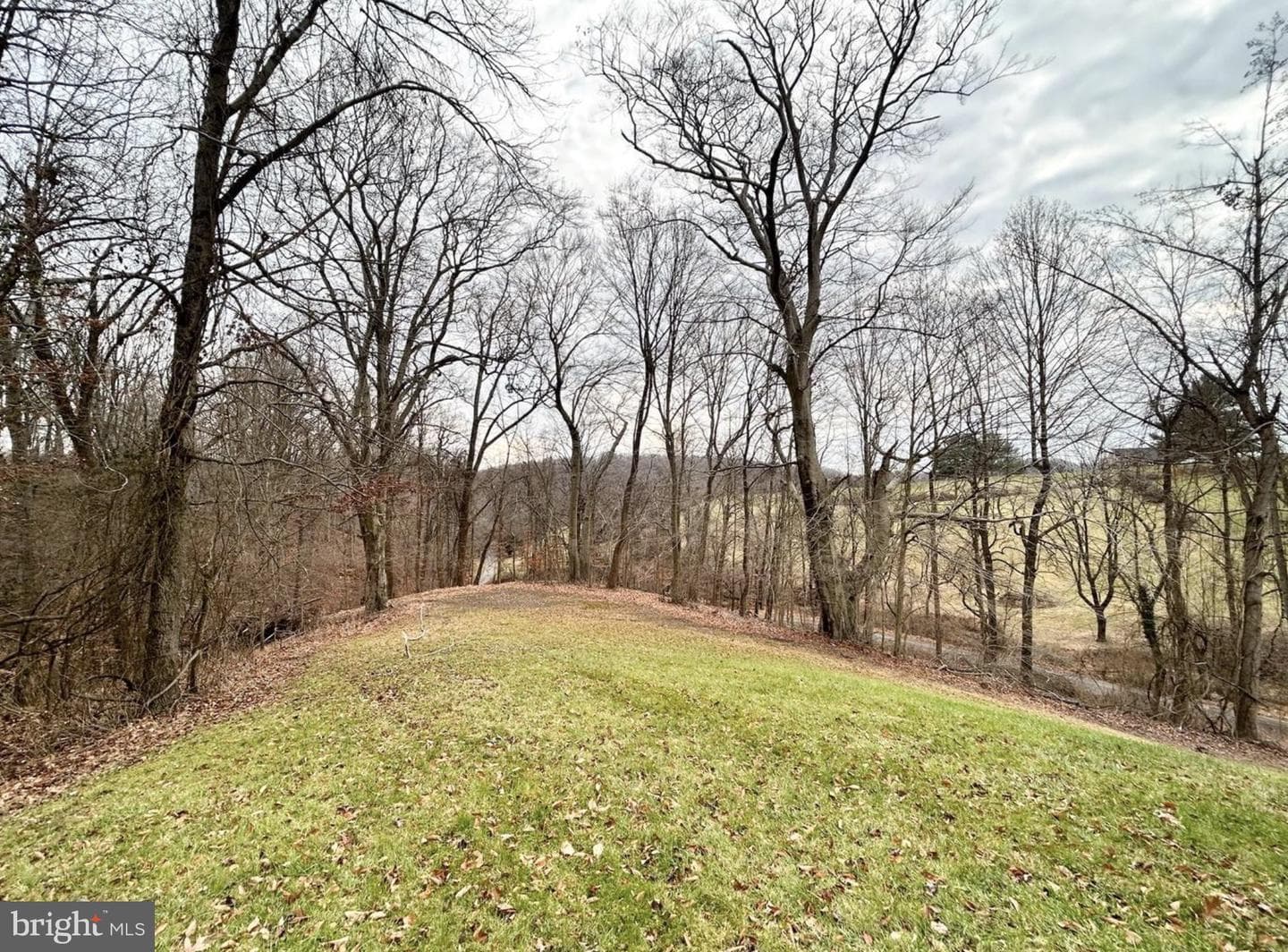 1501 Corbett Road photo 15