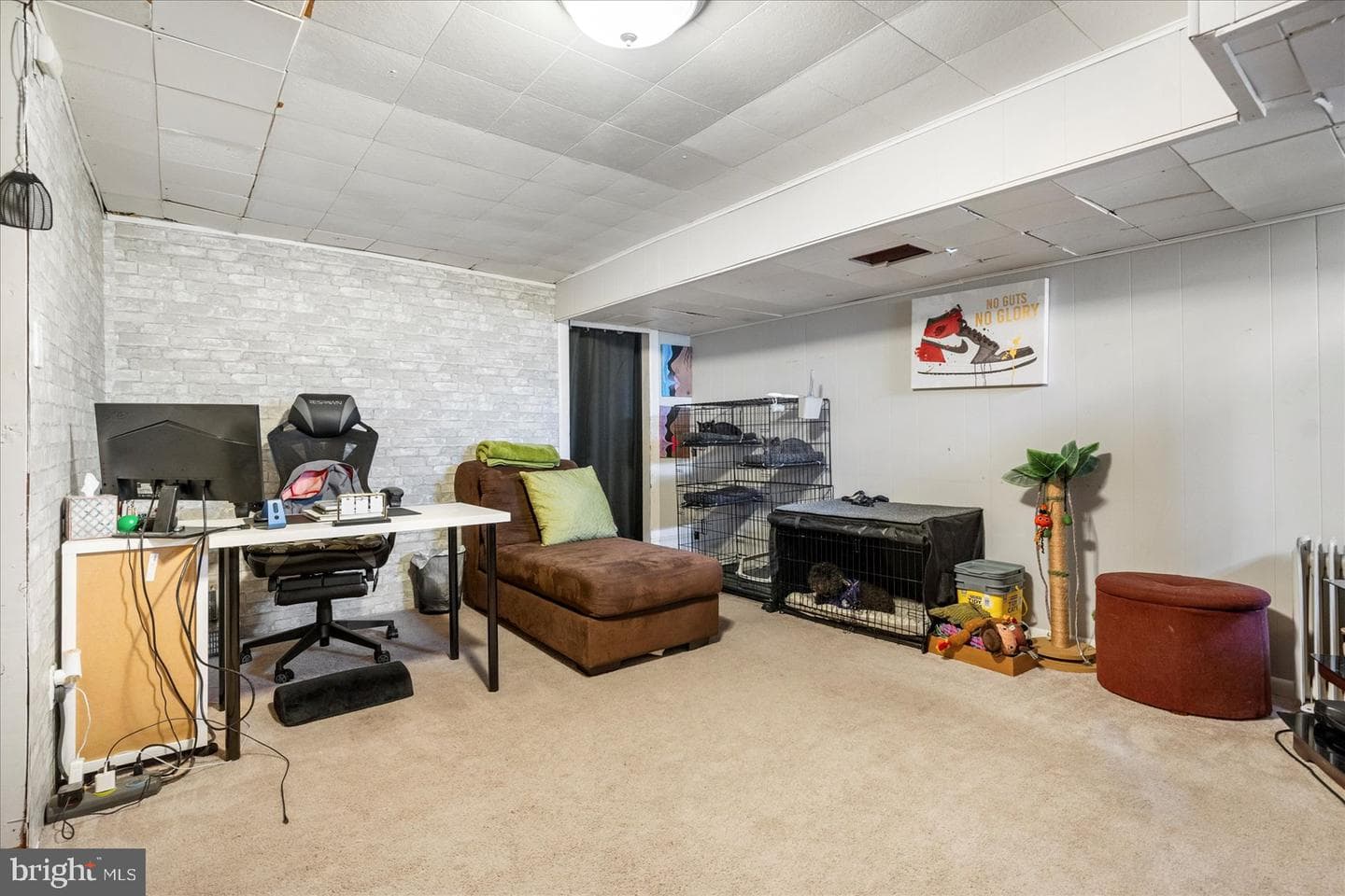 909 Arncliffe Road photo 17