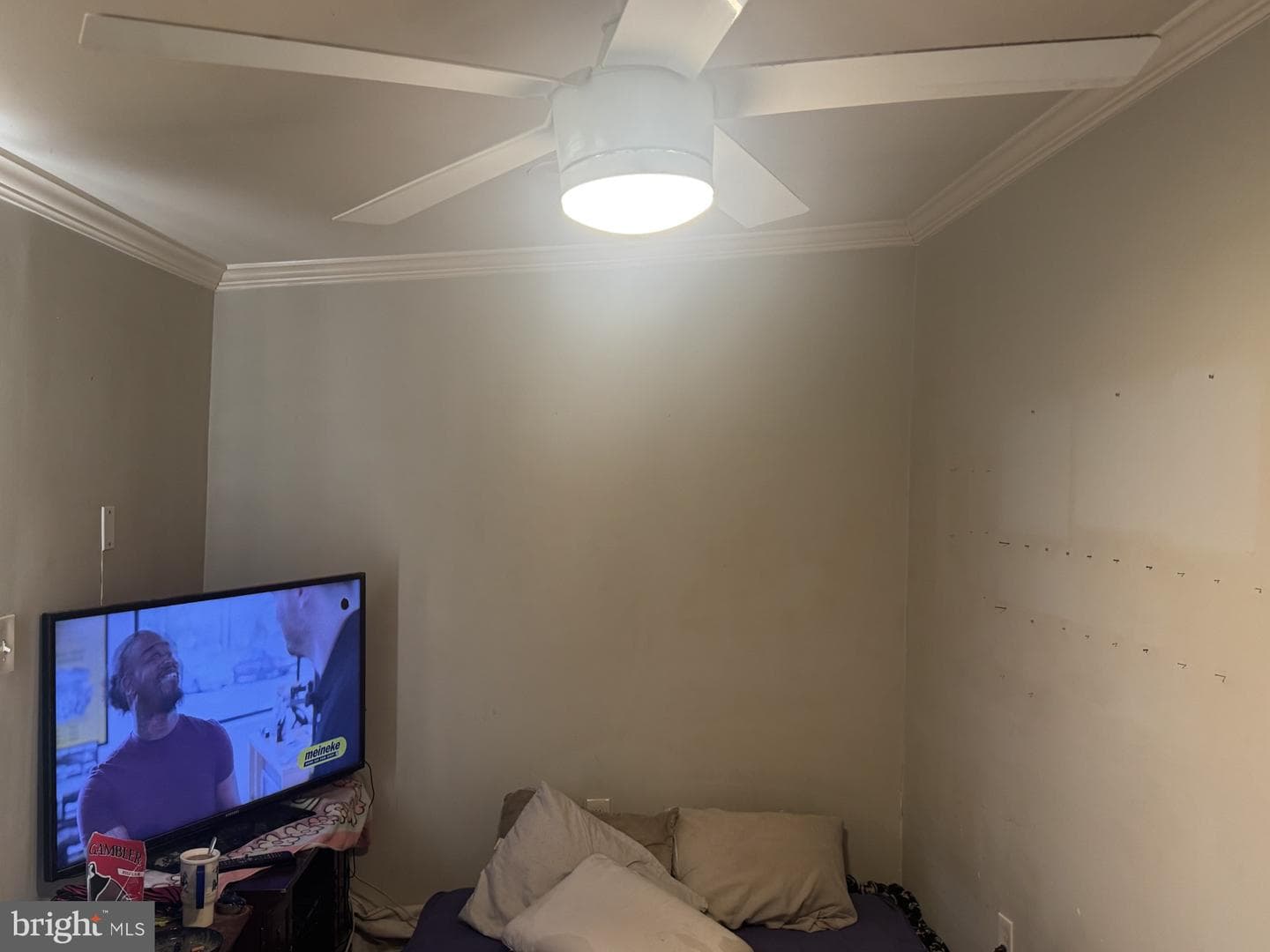 201 Mace Avenue photo 7