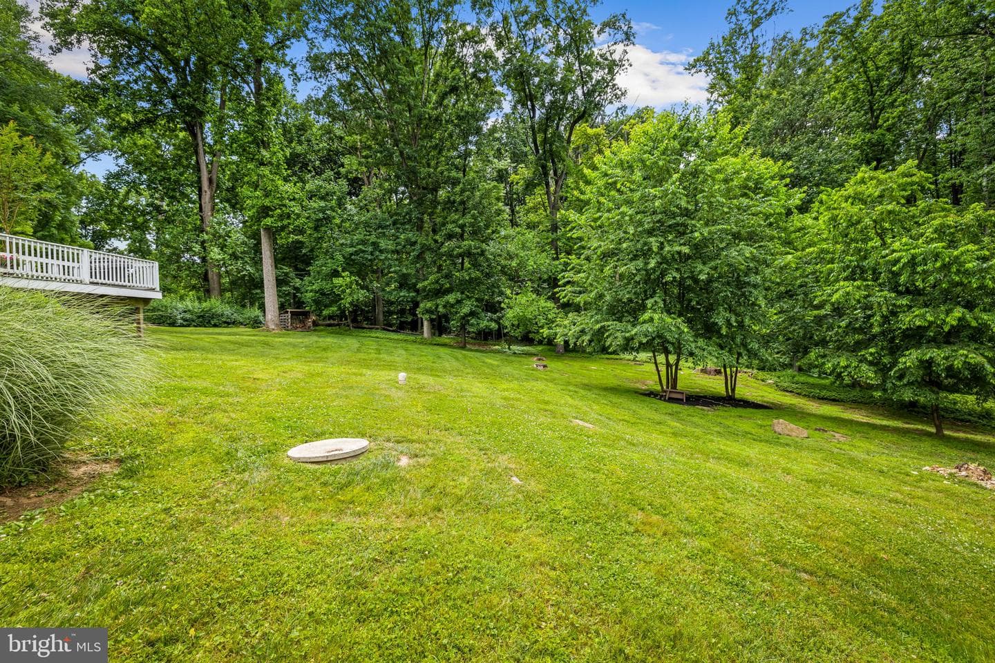 13608 Royal Crest Road photo 67