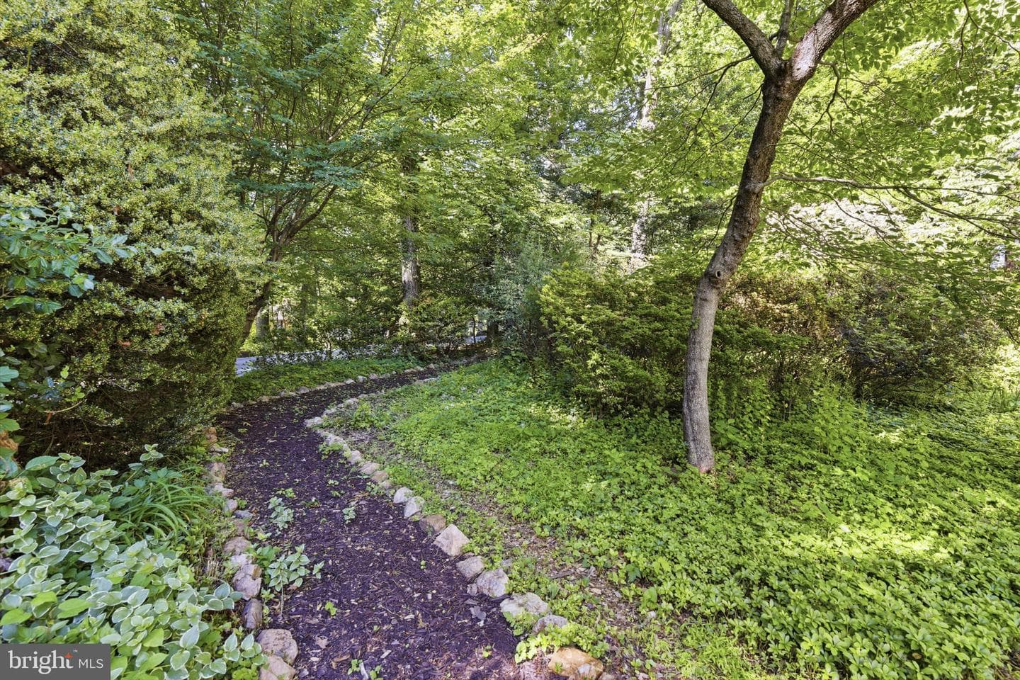 13001 Dulaney Valley Road photo 5