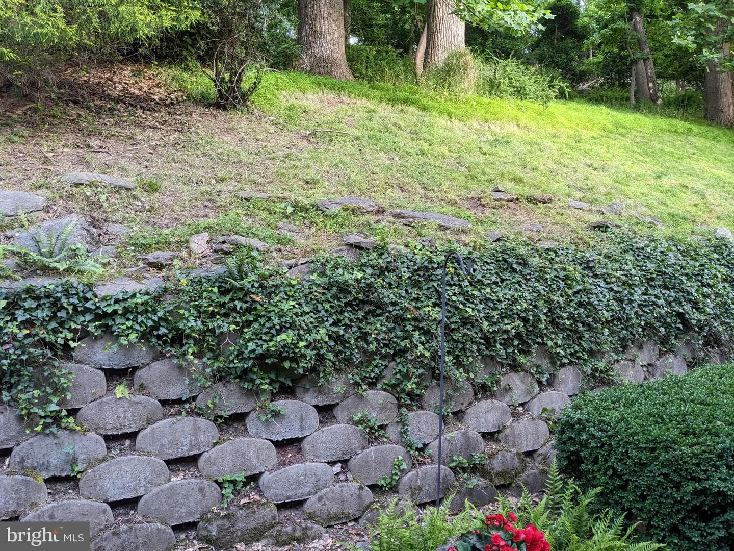1011 Lillies Lane photo 44