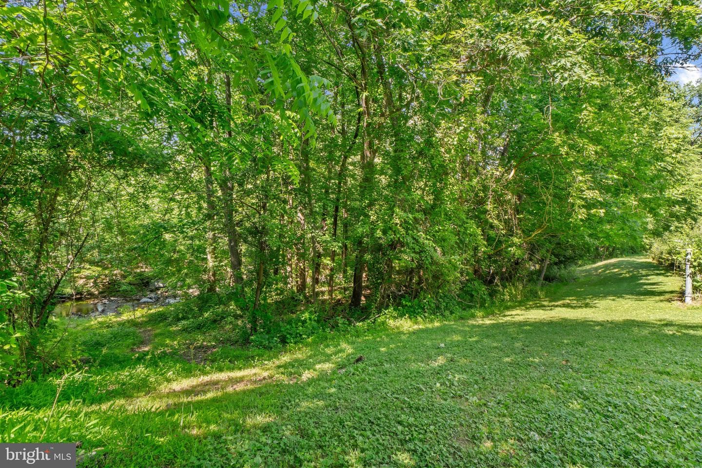 16 Hardwood Drive photo 30