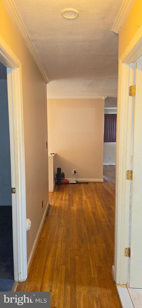 3824 Cassandra Road photo 3