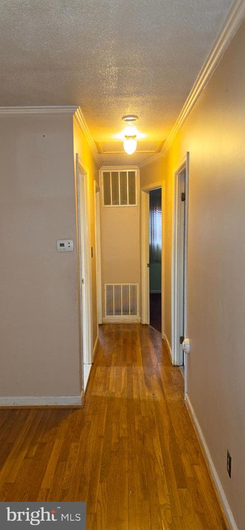 3824 Cassandra Road photo 9