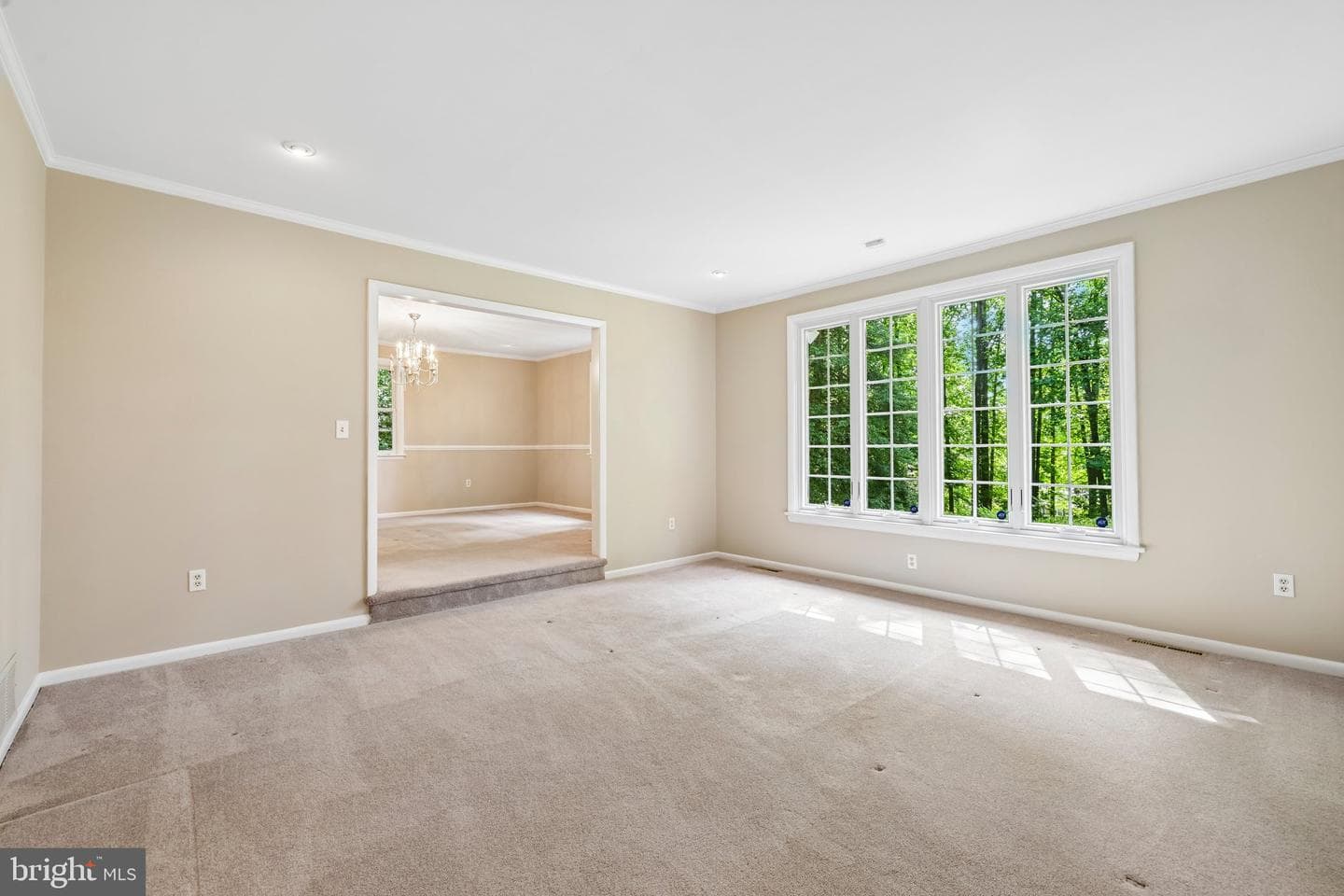 11124 Old Carriage Road photo 12